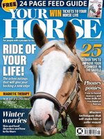 Your Horse